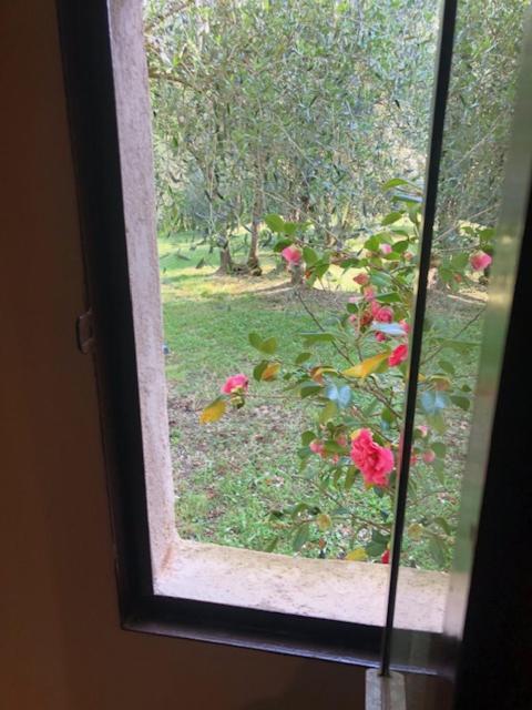Agriturismo La Pieve 埃尔萨谷口村 外观 照片