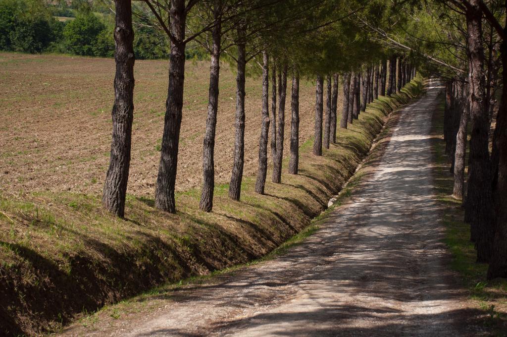 Agriturismo La Pieve 埃尔萨谷口村 外观 照片