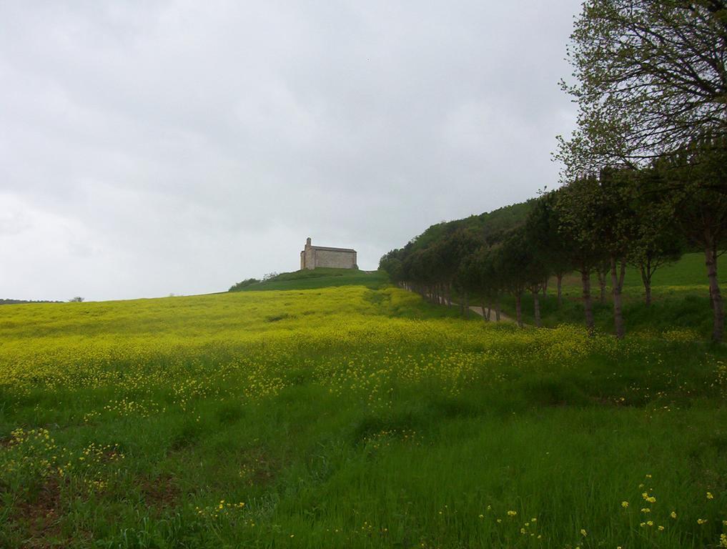 Agriturismo La Pieve 埃尔萨谷口村 外观 照片