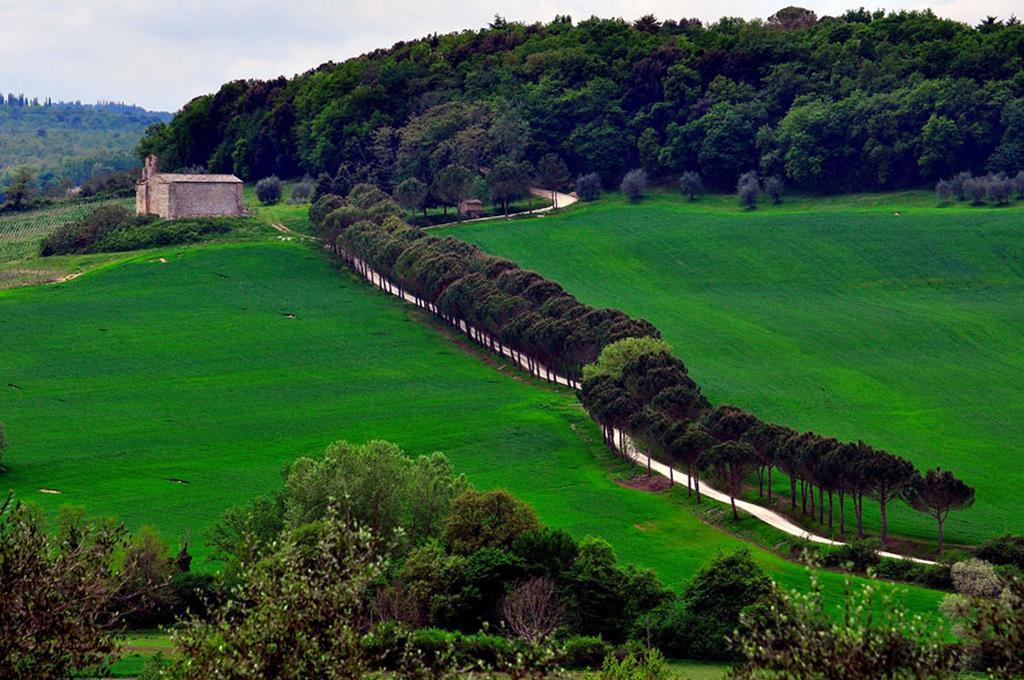 Agriturismo La Pieve 埃尔萨谷口村 外观 照片