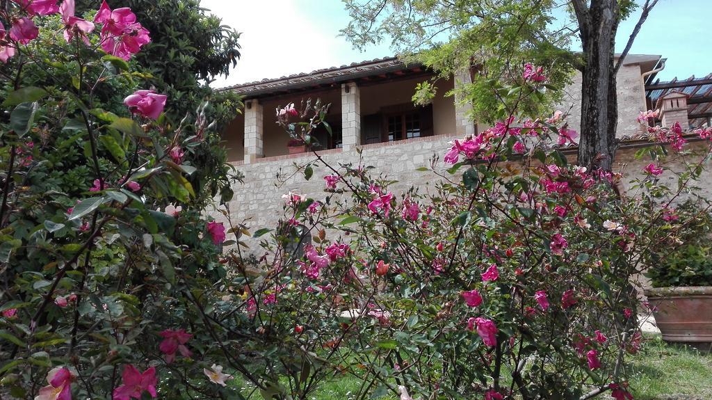 Agriturismo La Pieve 埃尔萨谷口村 外观 照片