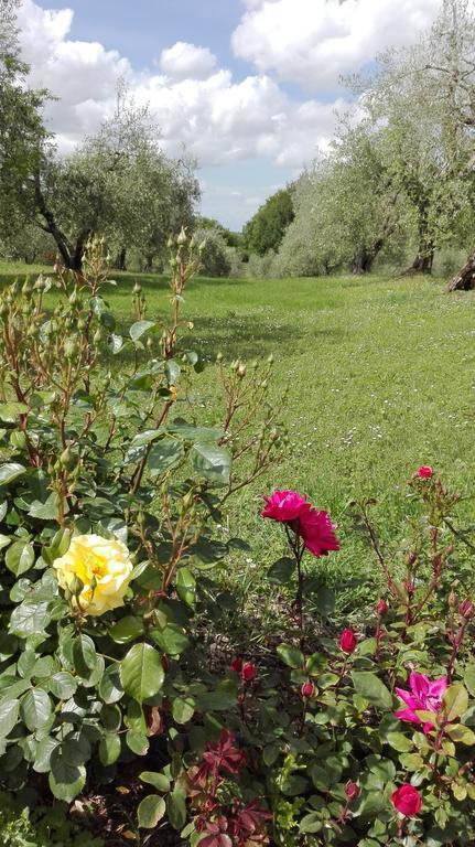 Agriturismo La Pieve 埃尔萨谷口村 外观 照片