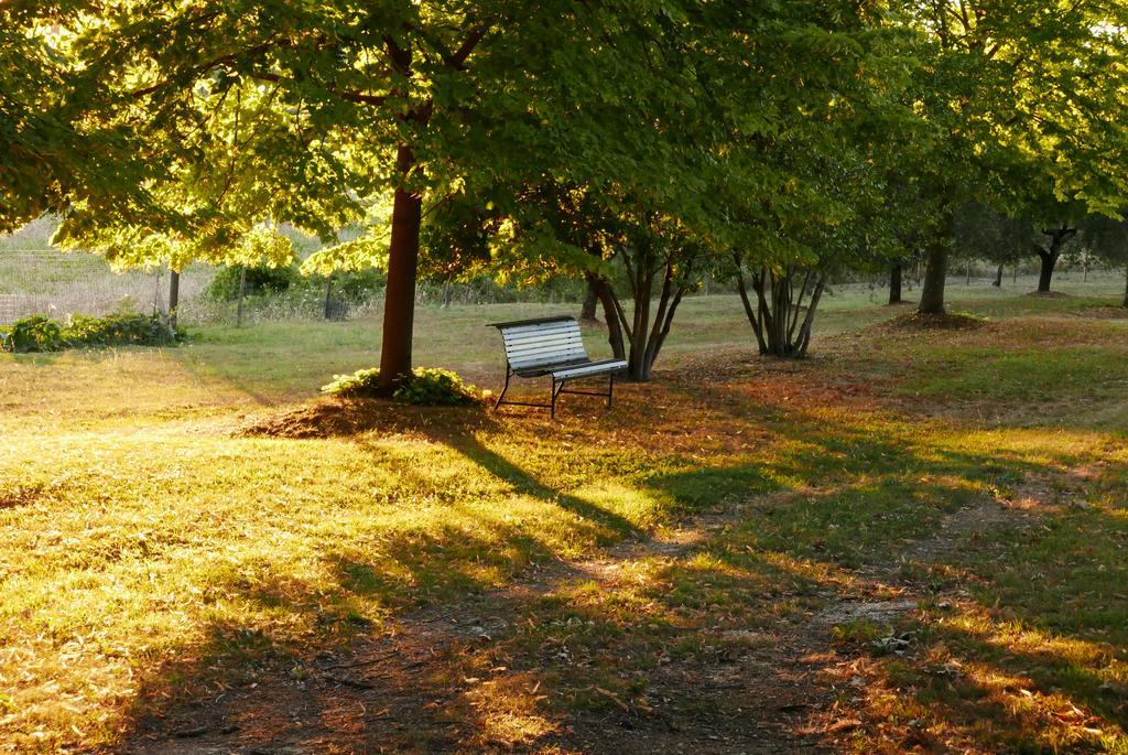 Agriturismo La Pieve 埃尔萨谷口村 外观 照片