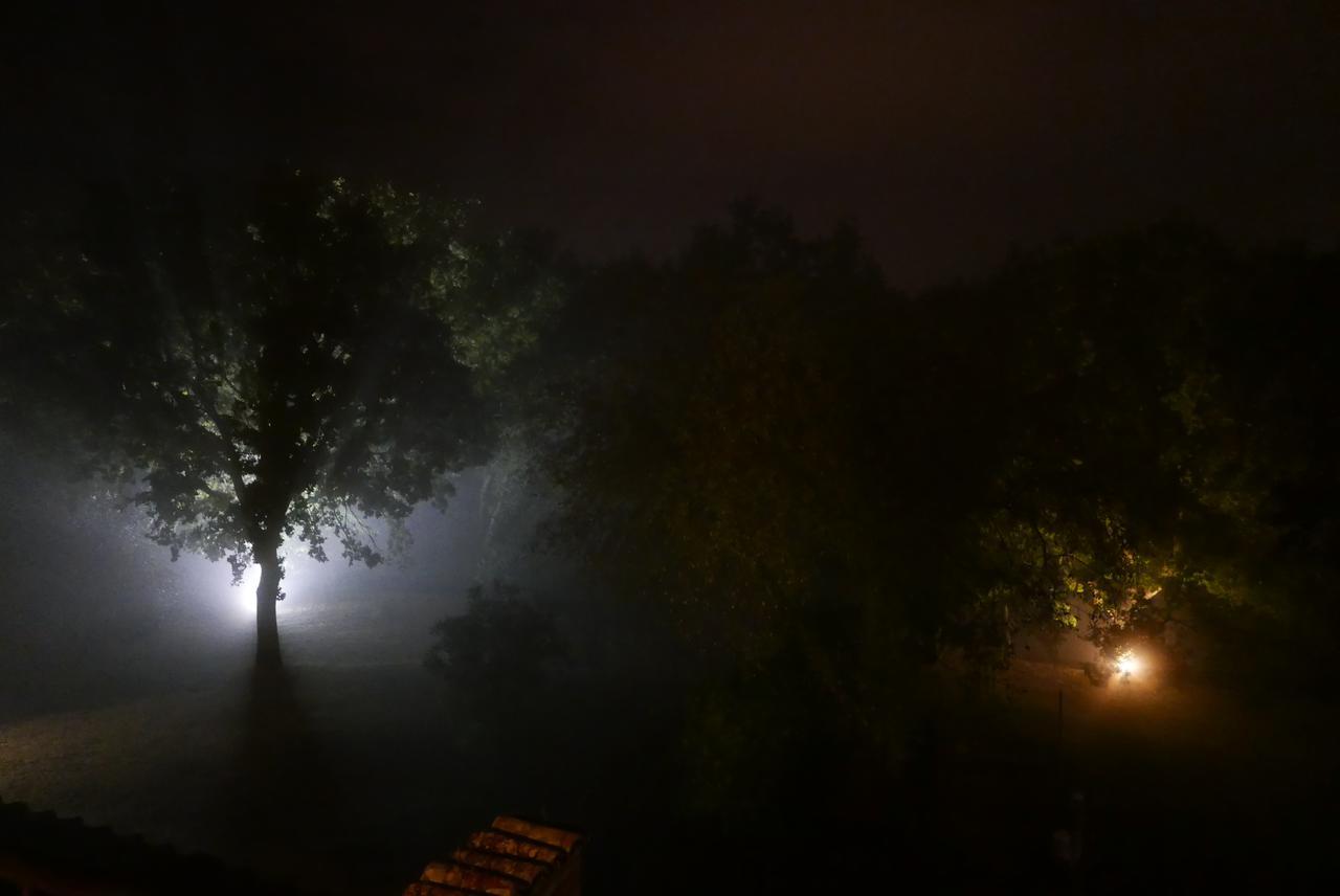 Agriturismo La Pieve 埃尔萨谷口村 外观 照片